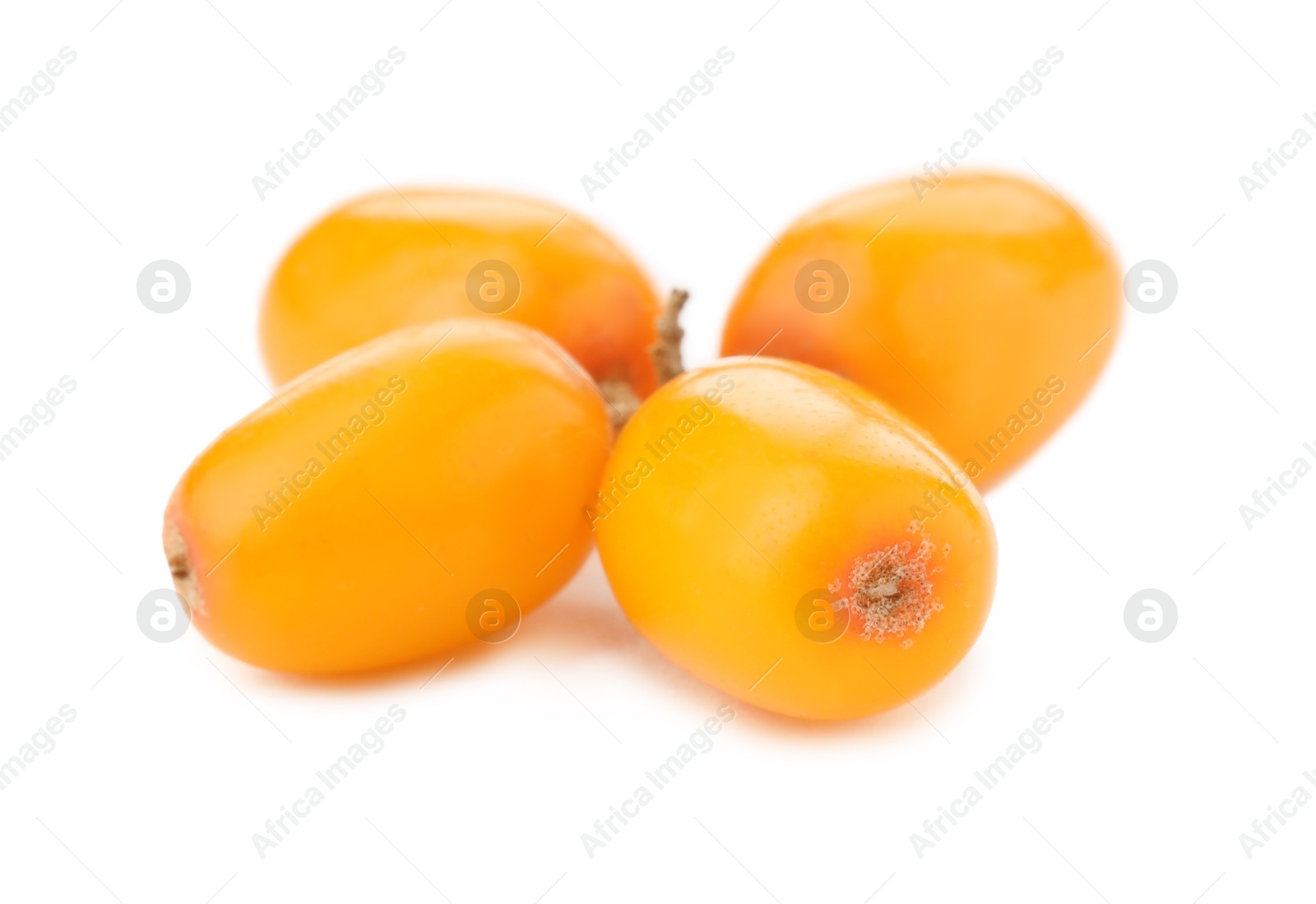 Photo of Fresh sea buckthorn berries isolated on white