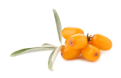 Photo of Fresh sea buckthorn berries with green leaves isolated on white