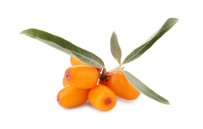 Photo of Fresh sea buckthorn berries with green leaves isolated on white