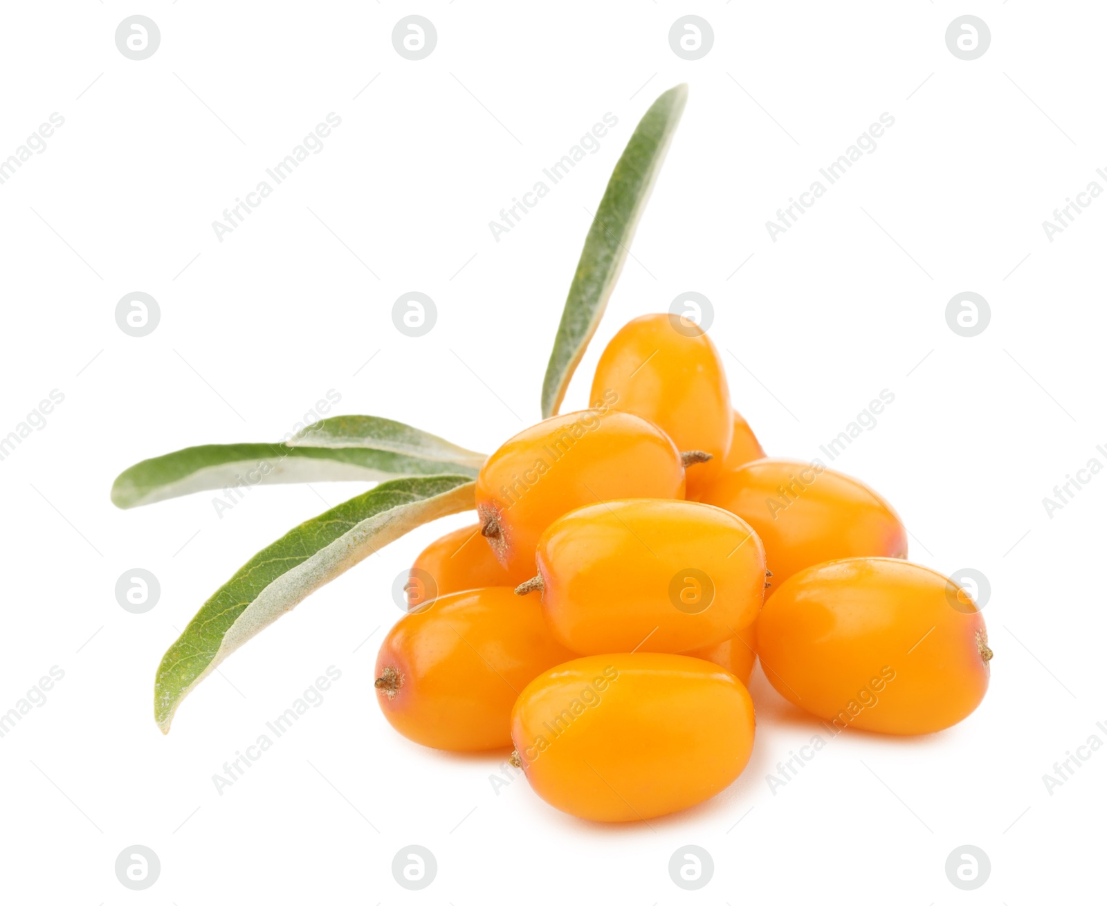 Photo of Fresh sea buckthorn berries with green leaves isolated on white