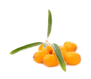 Photo of Fresh sea buckthorn berries with green leaves isolated on white