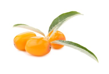 Photo of Fresh sea buckthorn berries with green leaves isolated on white