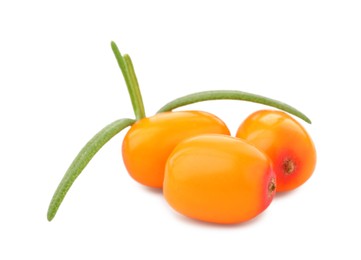 Photo of Fresh sea buckthorn berries with green leaves isolated on white