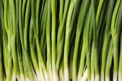 Photo of Fresh green spring onions as background, top view