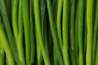 Photo of Fresh green spring onions with water drops as background, top view