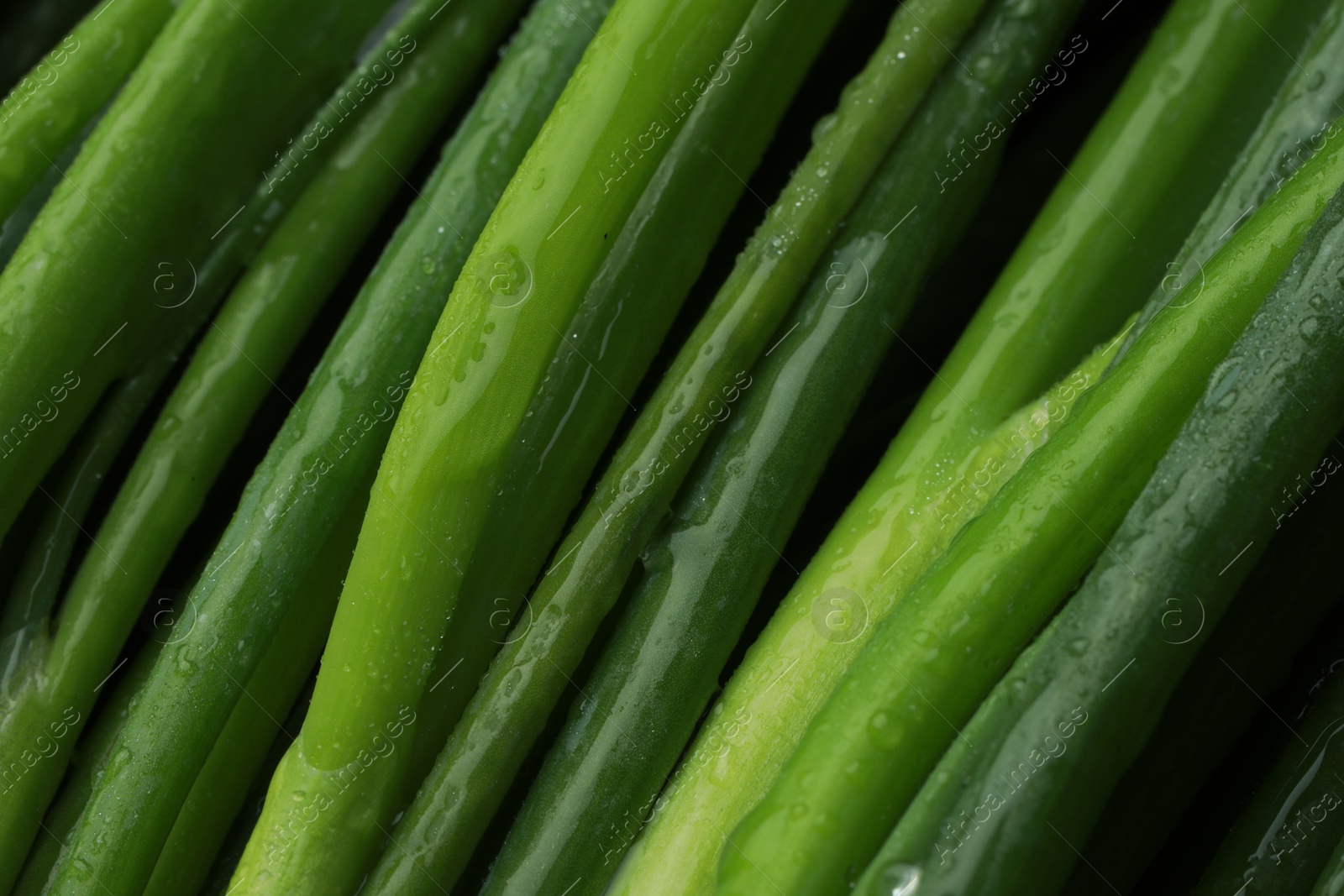 Photo of Fresh green spring onions with water drops as background, closeup