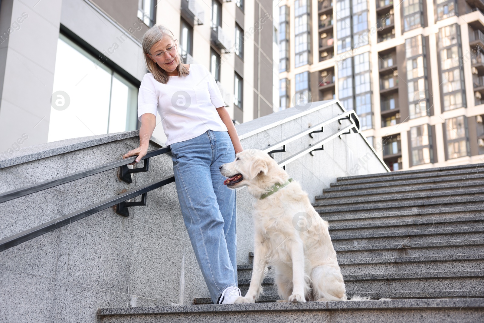 Photo of Senior woman with her adorable Golden Retriever dog on stairs outdoors, low angle view