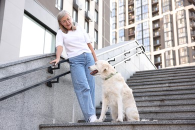 Photo of Senior woman with her adorable Golden Retriever dog on stairs outdoors, low angle view
