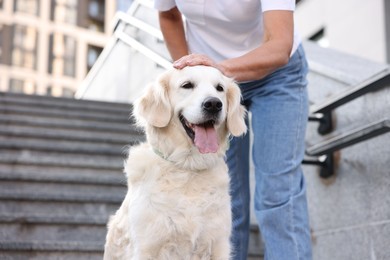 Photo of Senior woman with her adorable Golden Retriever dog on stairs outdoors, closeup