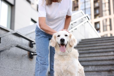 Photo of Senior woman with her adorable Golden Retriever dog on stairs outdoors, closeup