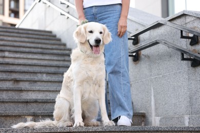 Photo of Senior woman with her adorable Golden Retriever dog on stairs outdoors, closeup