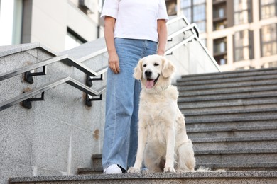 Photo of Senior woman with her adorable Golden Retriever dog on stairs outdoors, closeup