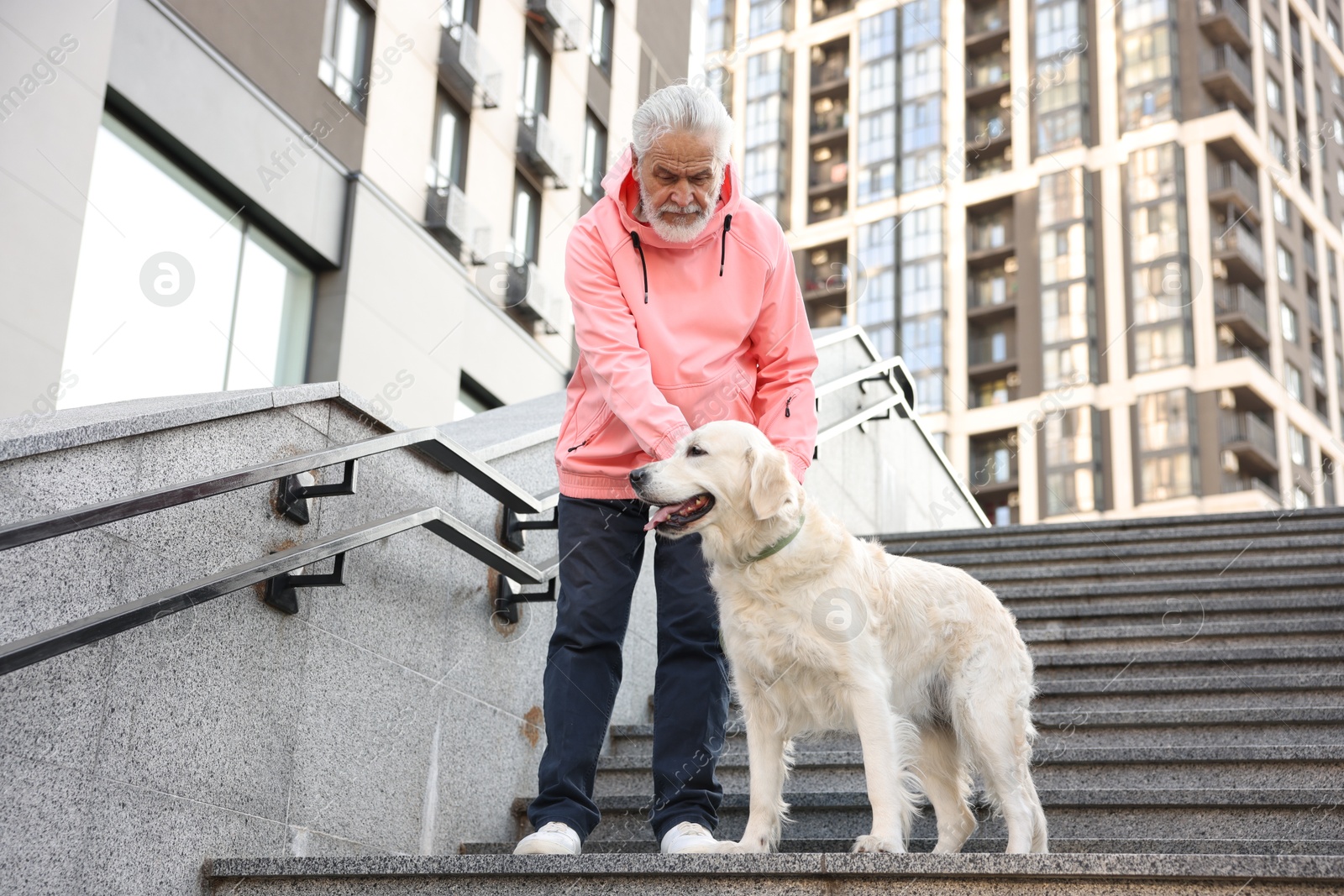 Photo of Elderly man with his adorable Golden Retriever dog on stairs outdoors, low angle view