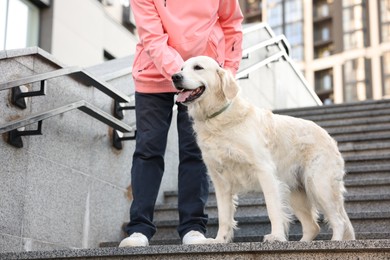 Photo of Man with his adorable Golden Retriever dog on stairs outdoors, closeup