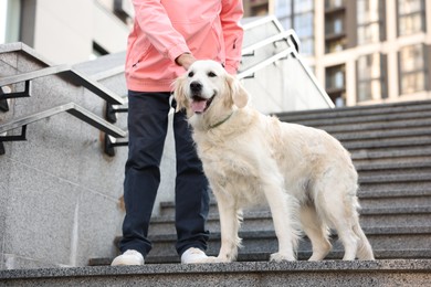 Photo of Man with his adorable Golden Retriever dog on stairs outdoors, closeup