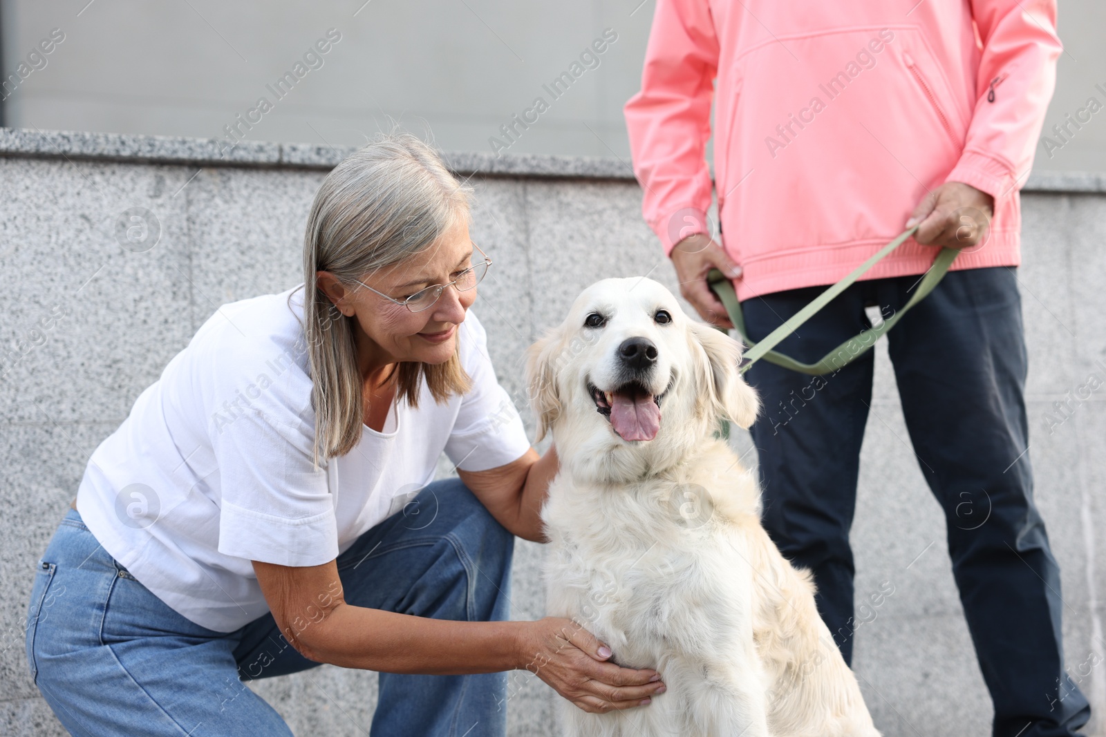 Photo of Senior couple with adorable Golden Retriever dog outdoors, closeup