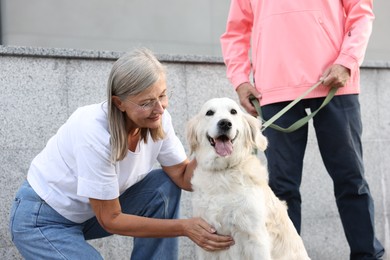 Photo of Senior couple with adorable Golden Retriever dog outdoors, closeup