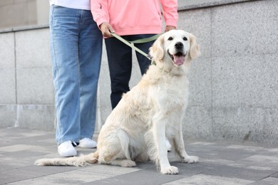 Photo of Senior couple with adorable Golden Retriever dog outdoors, closeup