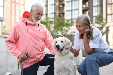 Photo of Happy senior couple with adorable Golden Retriever dog outdoors