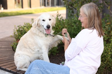 Photo of Adorable Golden Retriever dog giving paw to owner on bench outdoors