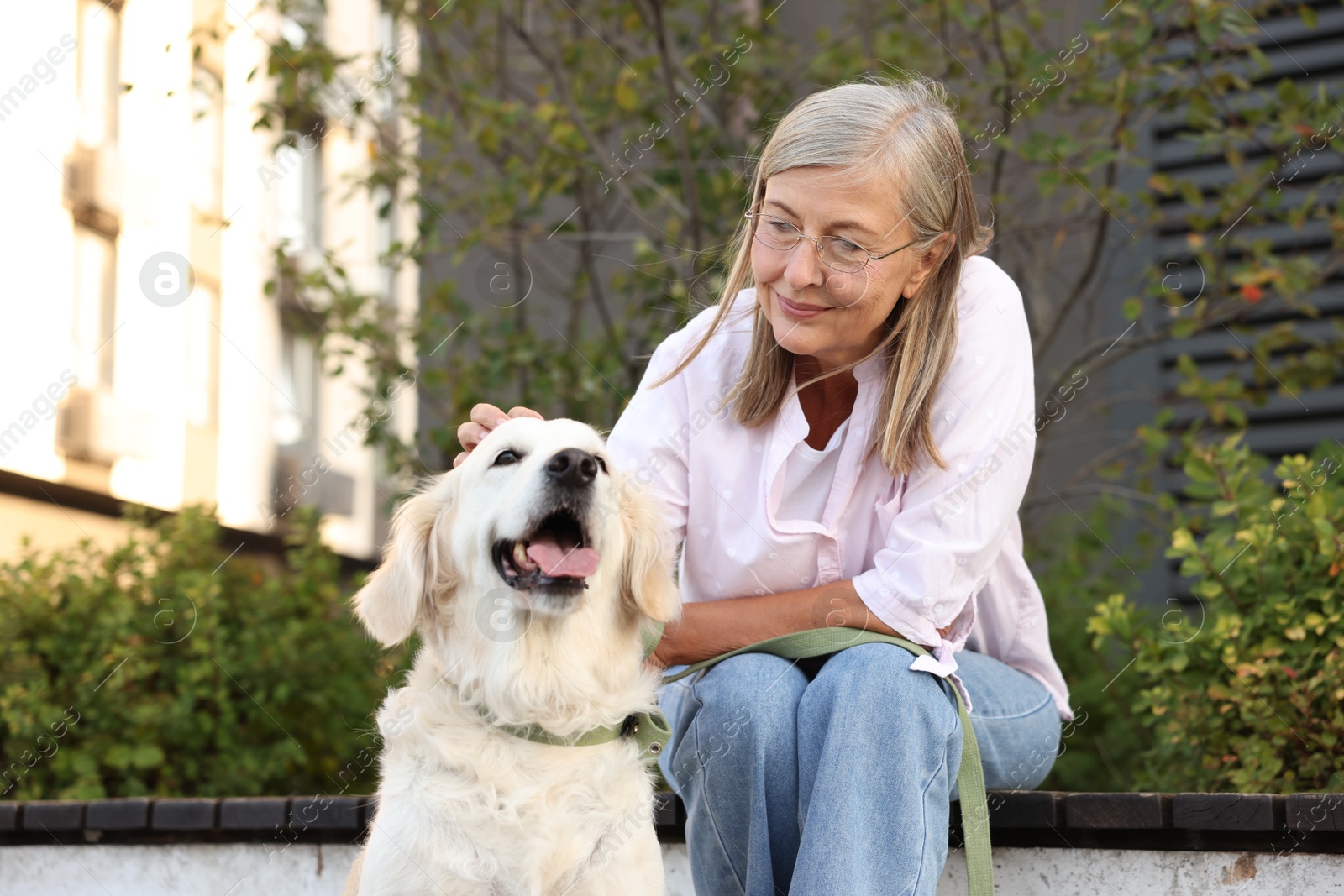 Photo of Senior woman with adorable Golden Retriever dog on bench outdoors