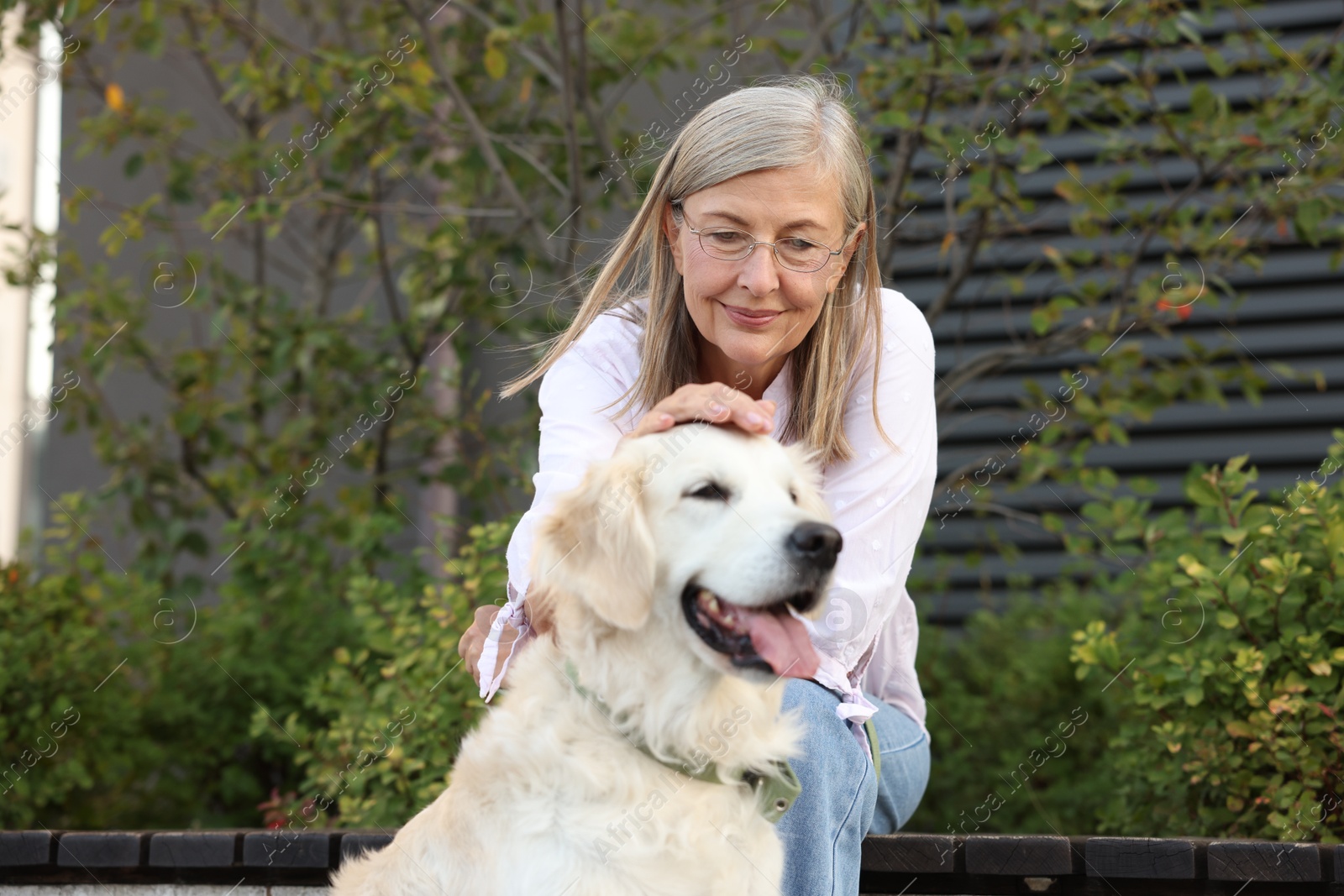 Photo of Senior woman with adorable Golden Retriever dog on bench outdoors