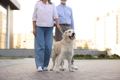 Photo of Senior couple with adorable Golden Retriever dog outdoors, closeup