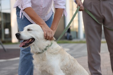 Photo of Senior couple with adorable Golden Retriever dog outdoors, closeup