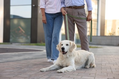 Photo of Senior couple with adorable Golden Retriever dog outdoors, closeup