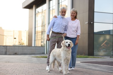 Photo of Happy senior couple walking with adorable Golden Retriever dog outdoors. Space for text