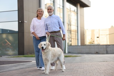 Photo of Happy senior couple walking with adorable Golden Retriever dog outdoors. Space for text