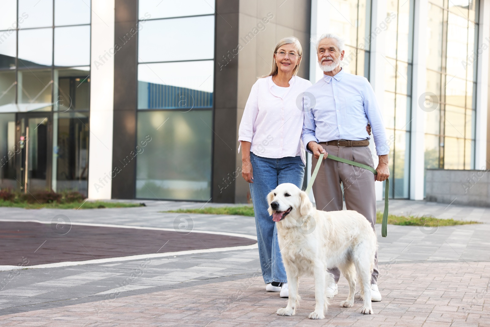 Photo of Happy senior couple walking with adorable Golden Retriever dog outdoors. Space for text