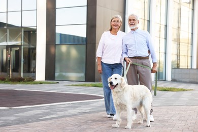 Photo of Happy senior couple walking with adorable Golden Retriever dog outdoors. Space for text