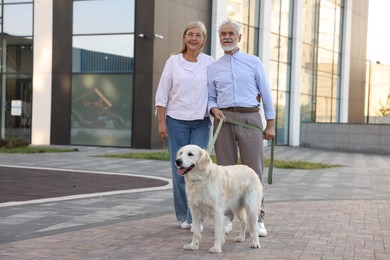 Photo of Happy senior couple walking with adorable Golden Retriever dog outdoors. Space for text