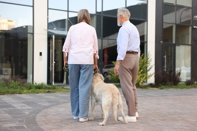Photo of Senior couple walking with Golden Retriever dog outdoors, back view