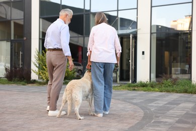 Photo of Senior couple walking with Golden Retriever dog outdoors, back view. Space for text