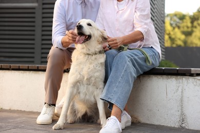Photo of Senior couple with Golden Retriever dog on bench outdoors, closeup