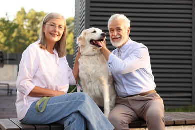 Photo of Happy senior couple with Golden Retriever dog on bench outdoors