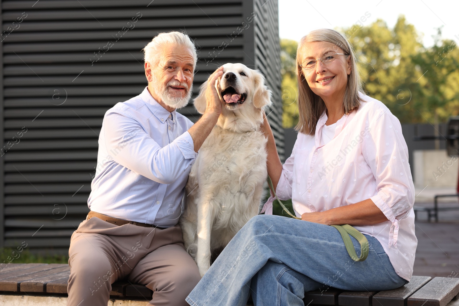 Photo of Happy senior couple with Golden Retriever dog on bench outdoors