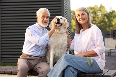 Photo of Happy senior couple with Golden Retriever dog on bench outdoors