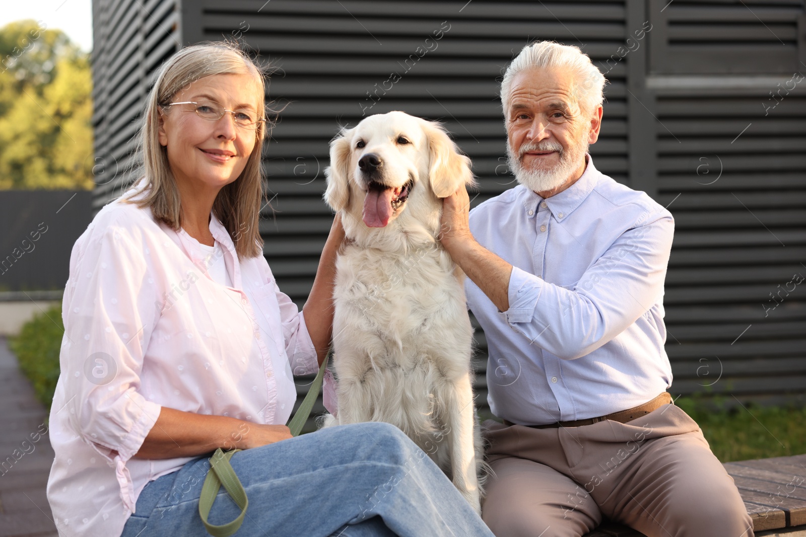 Photo of Happy senior couple with Golden Retriever dog outdoors