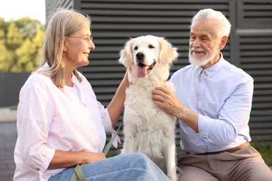 Photo of Happy senior couple with Golden Retriever dog outdoors