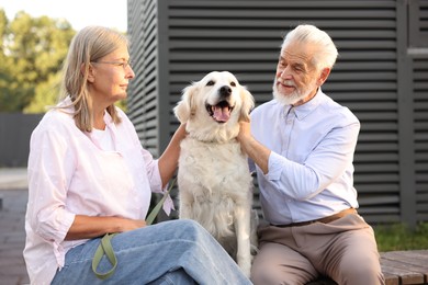 Photo of Happy senior couple with Golden Retriever dog on bench outdoors