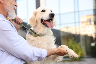 Photo of Adorable Golden Retriever dog giving paw to happy owner outdoors, closeup