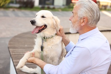 Photo of Adorable Golden Retriever dog giving paw to owner on bench outdoors