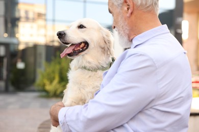 Photo of Elderly man with adorable Golden Retriever dog outdoors, closeup. Space for text