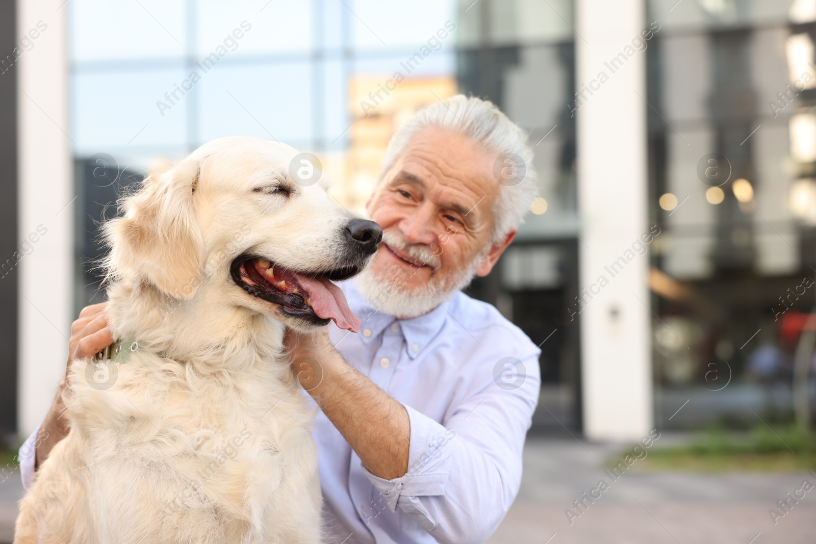 Photo of Smiling elderly man with adorable Golden Retriever dog outdoors. Space for text