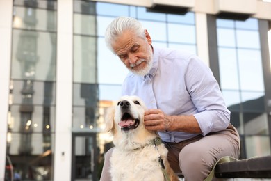 Photo of Elderly man with adorable Golden Retriever dog on bench outdoors, low angle view. Space for text
