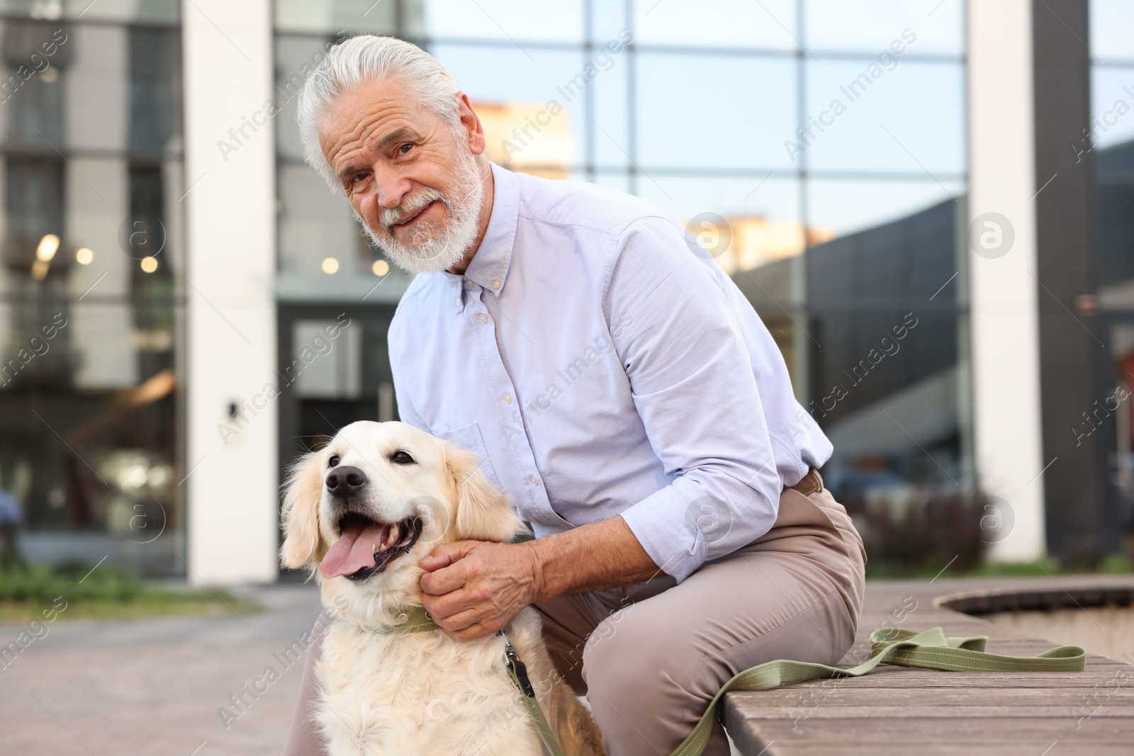 Photo of Portrait of elderly man with adorable Golden Retriever dog on bench outdoors