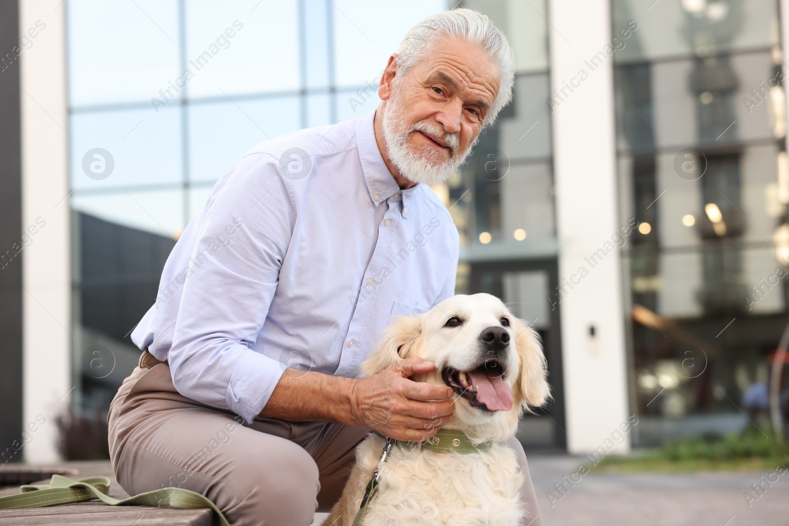 Photo of Portrait of elderly man with adorable Golden Retriever dog on bench outdoors. Space for text